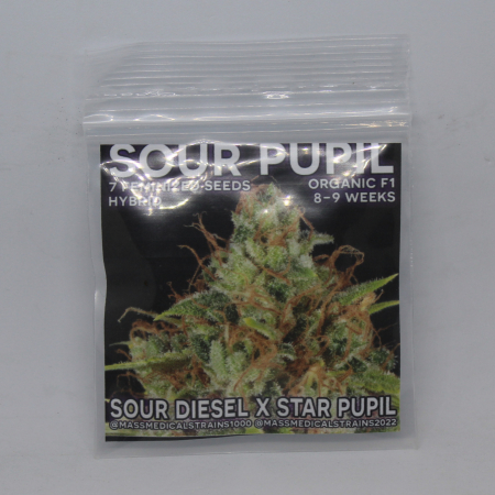 Sour Pupil cannabis seed pack