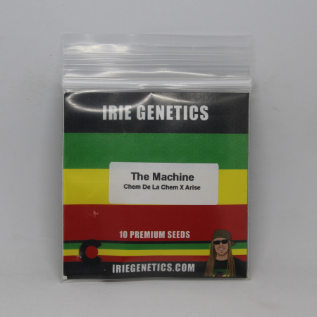 The Machine cannabis seeds