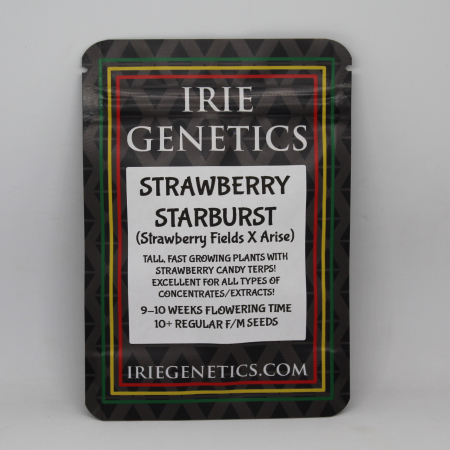 Strawberry Starburst cannabis seeds