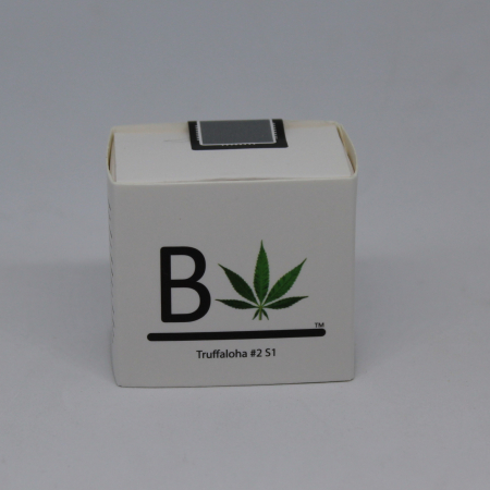 Truffaloha #2 S1 cannabis seeds | BeLeaf brand