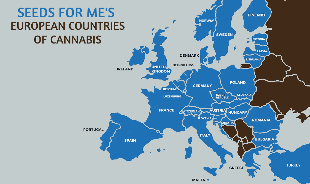 Cannabis seeds in Slovakia
