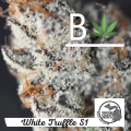 Be Leaf White Truffle S1 cannabis seeds