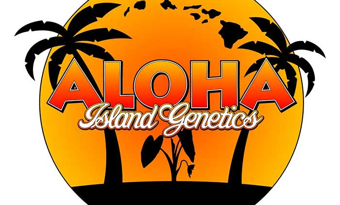 Aloha Island Cannabis Brand Logo