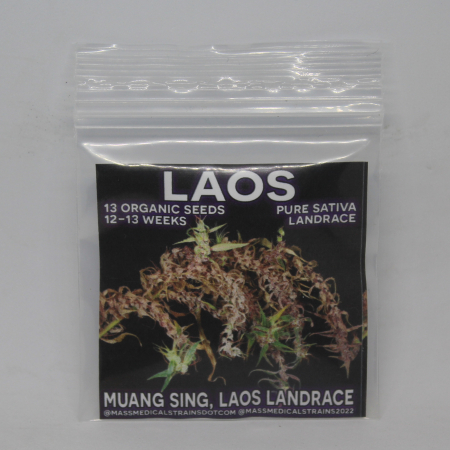 Laos Landrace cannabis seeds | Mass Medical Strains
