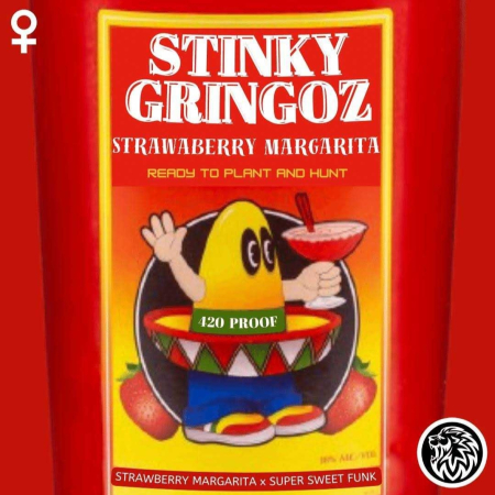 Stinky Gringoz cannabis seeds | So Loud