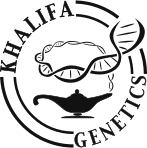 Khalifa Genetics cannabis seeds