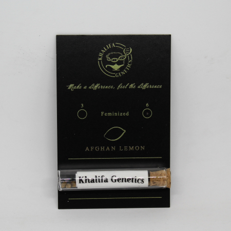 Afghan Lemon cannabis seeds | Khalifa Genetics