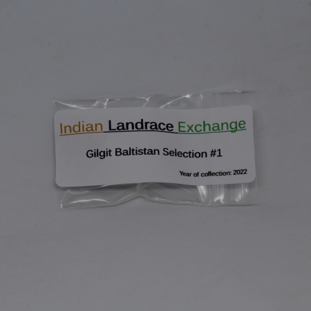 Gilgit Baltistan Selection #1 Indian Landrace Exchange