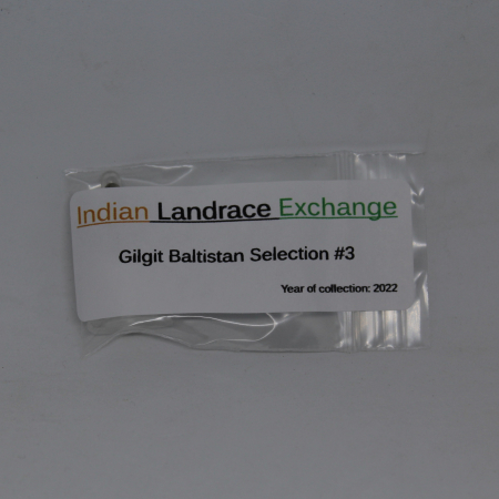 Gilgit Baltistan Selection #3 mmj seeds Indian Landrace Exchange