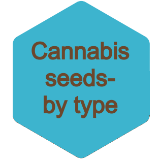Search cannabis seeds by type