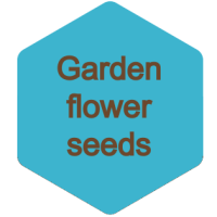 Garden flower seeds