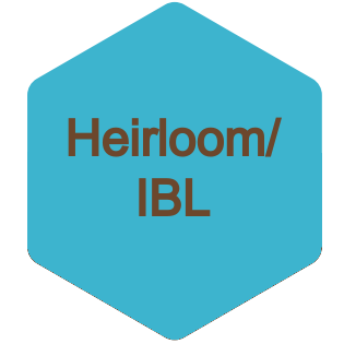 Heirloom and IBL cannabis seeds