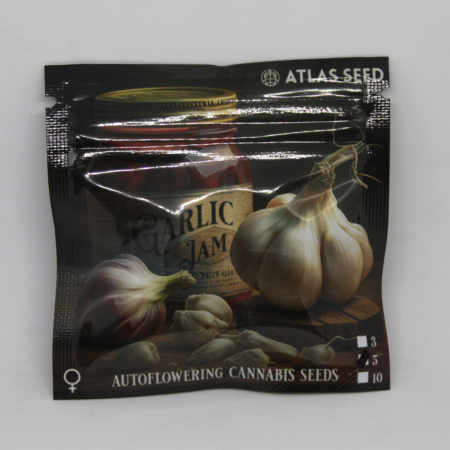 Garlic Jam autoflower seeds