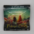 Papaya Candy mmj seeds