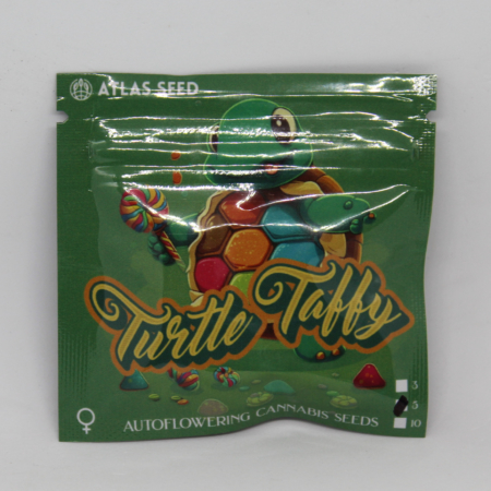 Turtle Taffy cannabis seeds