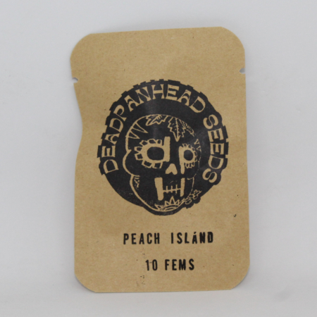 Peach Island cannabis seeds | DeadPan Head