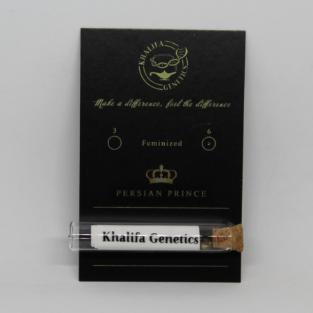 Persian Prince cannabis seeds