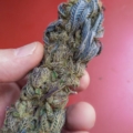 Ice D cannabis strain