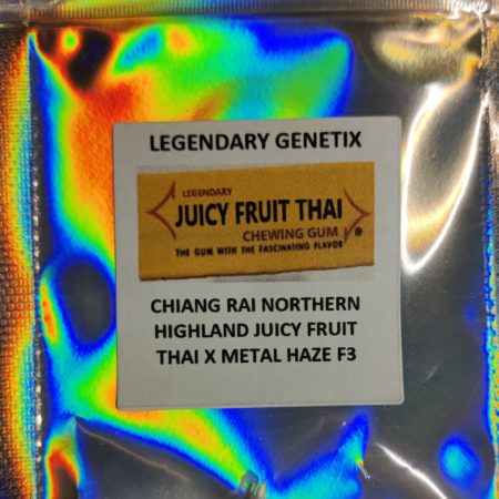 Chiang Rai Juicy Fruit Thai x Dutch Flowers Metal Haze cannabis seeds