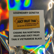 Chiang Rai Juicy Fruit Thai x Vietnamese Black marijuana seeds