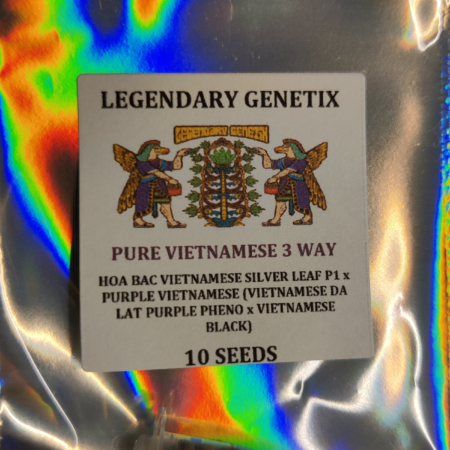 Pure Vietnamese 3-way mmj seeds