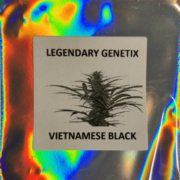 Vietnamese Black cannabis seeds