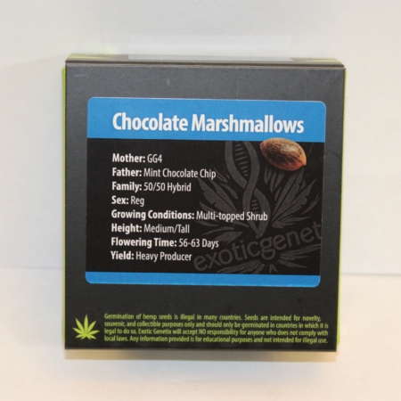 Exotic Chocolate Marshmallows cannabis seeds