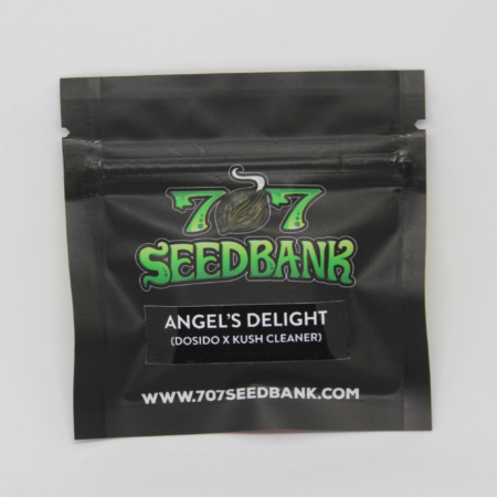 Angels Delight cannabis seeds | 707 Seedbank