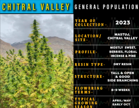 Chitral Valley General Population