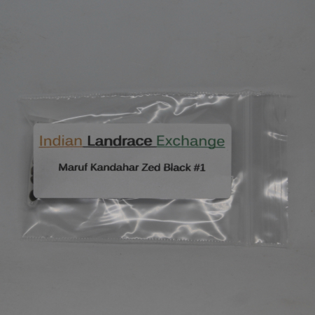 Maruf Kandahar Zed Black cannabis seeds bred by Indian Landrace Exchange